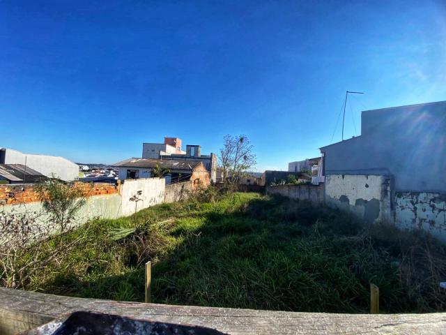 Terreno / Lote para Venda em Curitiba/PR Alto Boqueirão
