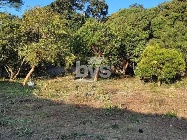 Terreno / Lote para Venda em Curitiba/PR Butiatuvinha