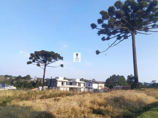 Terreno / Lote para Venda em Curitiba/PR Butiatuvinha