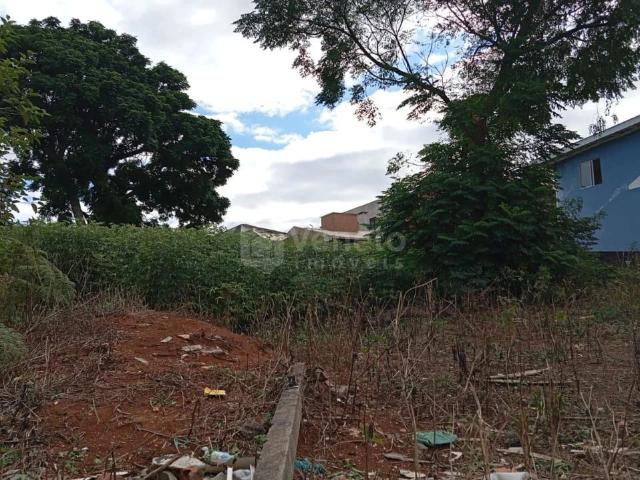 Terreno / Lote para Venda em Curitiba/PR Bairro Alto