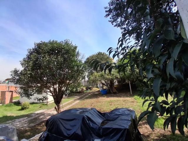 Terreno / Lote para Venda em Curitiba/PR Bairro Alto