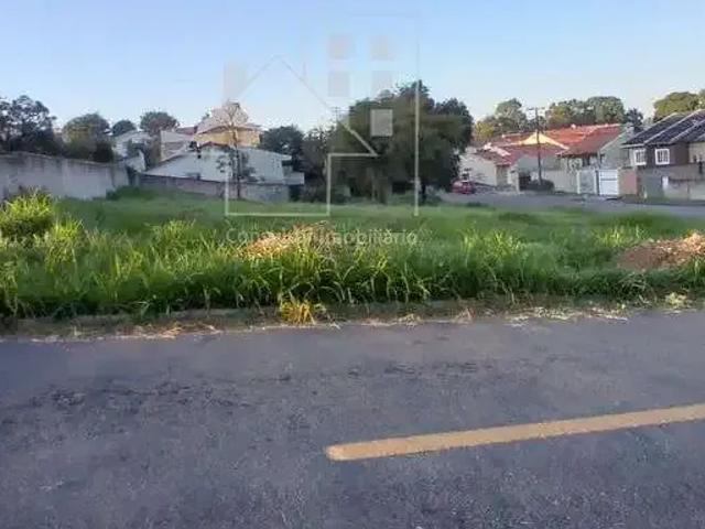 Terreno / Lote para Venda em Curitiba/PR Bairro Alto