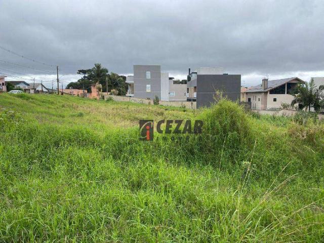 Terreno / Lote para Venda em Curitiba/PR Bairro Alto