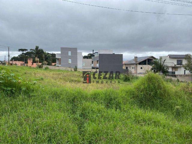 Terreno / Lote para Venda em Curitiba/PR Bairro Alto