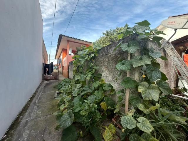 Terreno / Lote para Venda em Curitiba/PR Bairro Alto