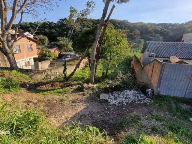 Terreno / Lote para Venda em Curitiba/PR Barreirinha