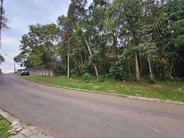 Terreno / Lote para Venda em Curitiba/PR Barreirinha