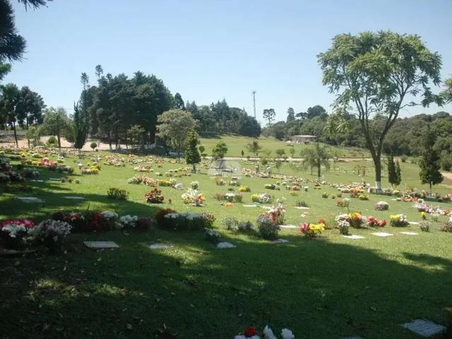 Terreno / Lote para Venda em Curitiba/PR Barreirinha