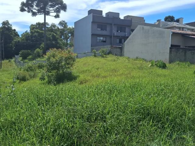 Terreno / Lote para Venda em Curitiba/PR Barreirinha