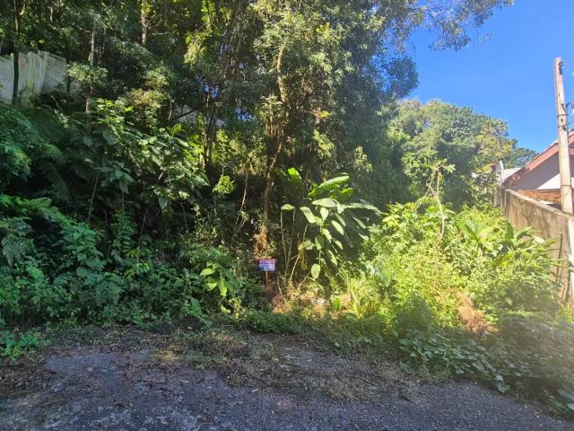 Terreno / Lote para Venda em Curitiba/PR Barreirinha