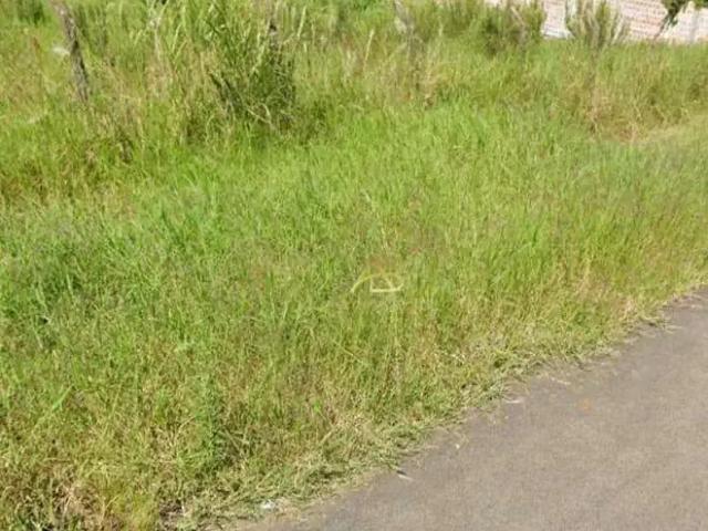 Terreno / Lote para Venda em Curitiba/PR Boa Vista