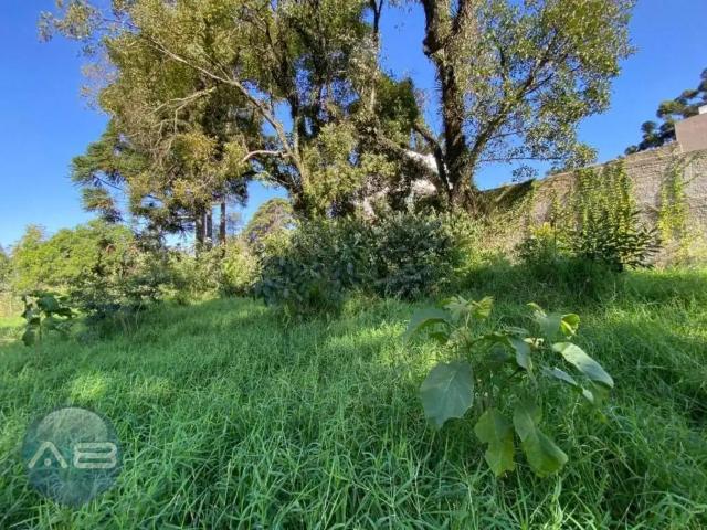 Terreno / Lote para Venda em Curitiba/PR Boa Vista