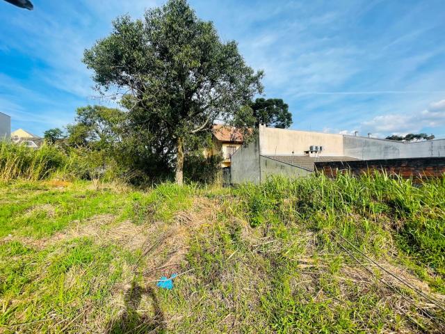 Terreno / Lote para Venda em Curitiba/PR Boa Vista