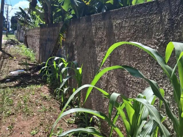 Terreno / Lote para Venda em Curitiba/PR Boqueirão