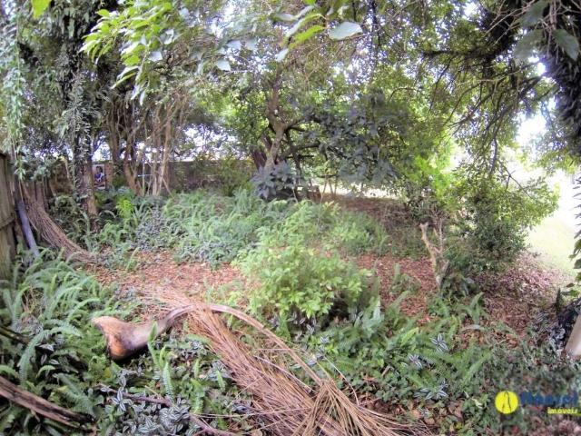 Terreno / Lote para Venda em Curitiba/PR Boqueirão