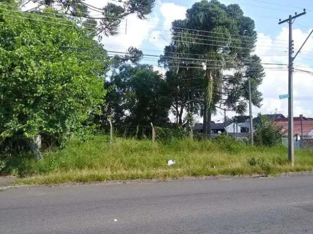 Terreno / Lote para Venda em Curitiba/PR Cajuru