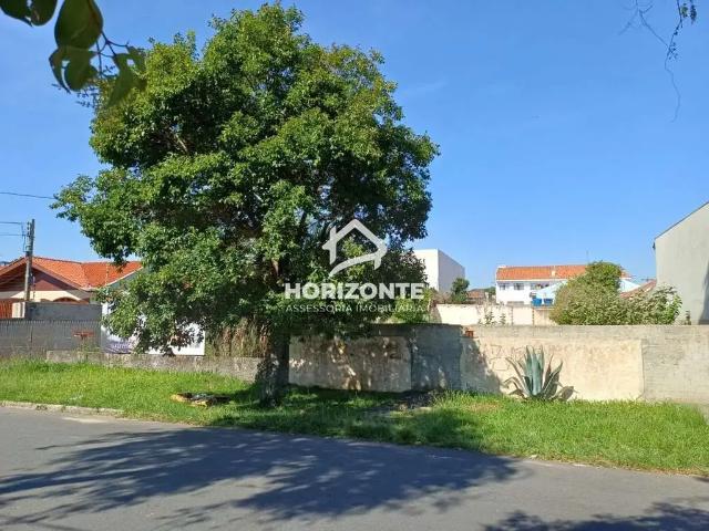 Terreno / Lote para Venda em Curitiba/PR Cajuru