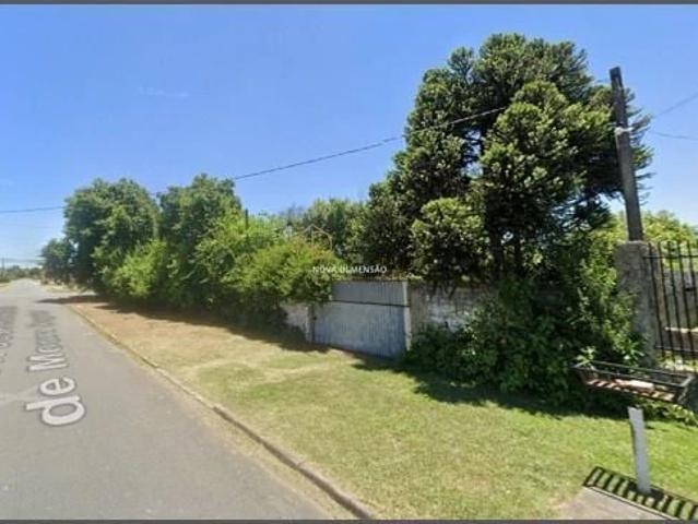 Terreno / Lote para Venda em Curitiba/PR Cajuru