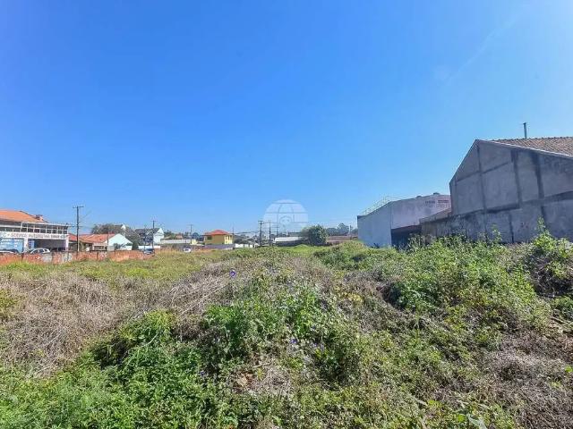 Terreno / Lote para Venda em Curitiba/PR Cajuru