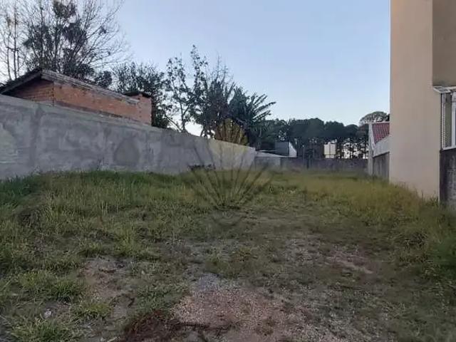 Terreno / Lote para Venda em Curitiba/PR Cajuru