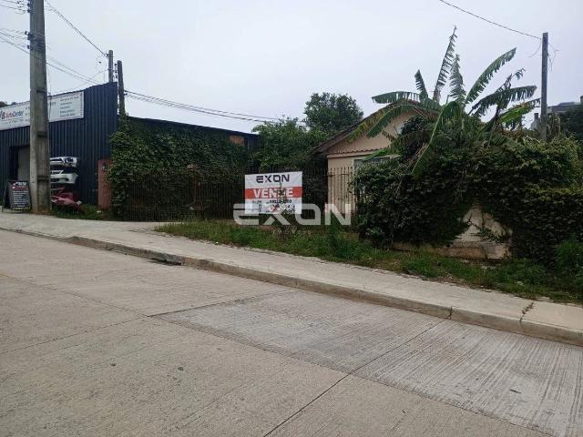 Terreno / Lote para Venda em Curitiba/PR Campina do Siqueira