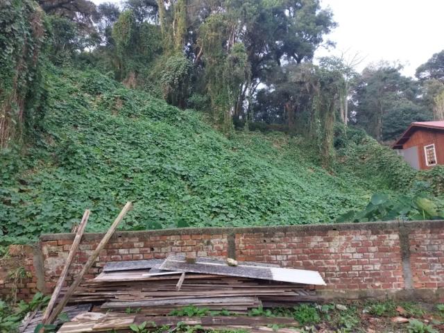Terreno / Lote para Venda em Curitiba/PR Campo Comprido