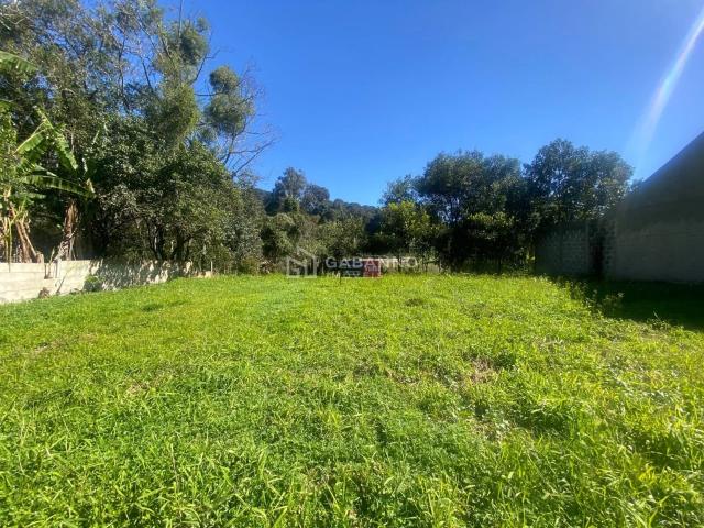 Terreno / Lote para Venda em Curitiba/PR Campo Comprido