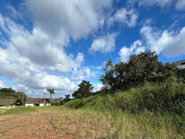 Terreno / Lote para Venda em Curitiba/PR Campo Comprido