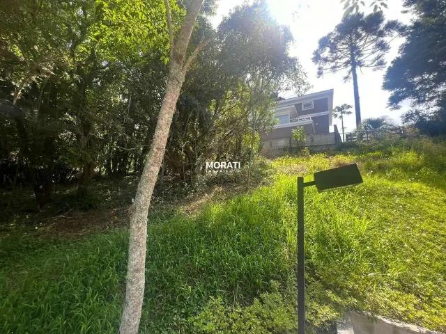 Terreno / Lote para Venda em Curitiba/PR Campo Comprido