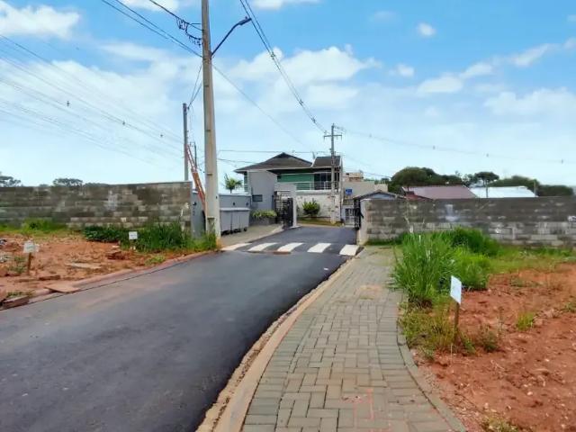 Terreno / Lote para Venda em Curitiba/PR Campo de Santana