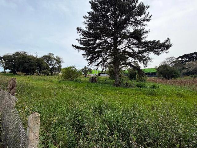 Terreno / Lote para Venda em Curitiba/PR Campo de Santana