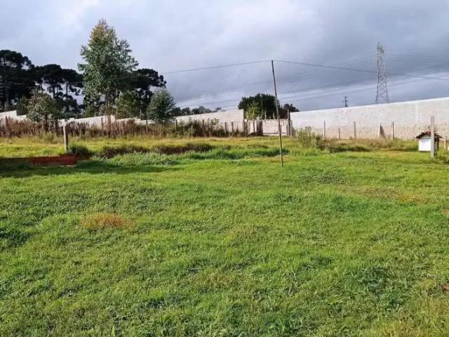 Terreno / Lote para Venda em Curitiba/PR Campo de Santana
