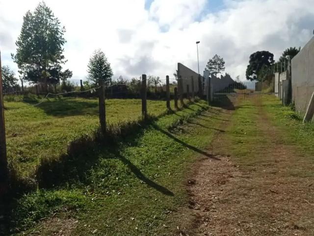 Terreno / Lote para Venda em Curitiba/PR Campo de Santana