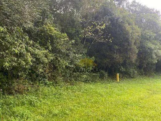 Terreno / Lote para Venda em Curitiba/PR Campo de Santana