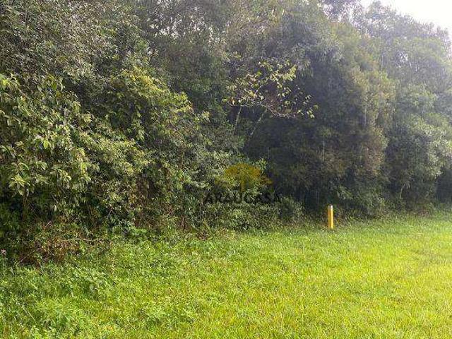 Terreno / Lote para Venda em Curitiba/PR Campo de Santana
