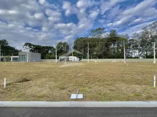 Terreno / Lote para Venda em Curitiba/PR Campo de Santana