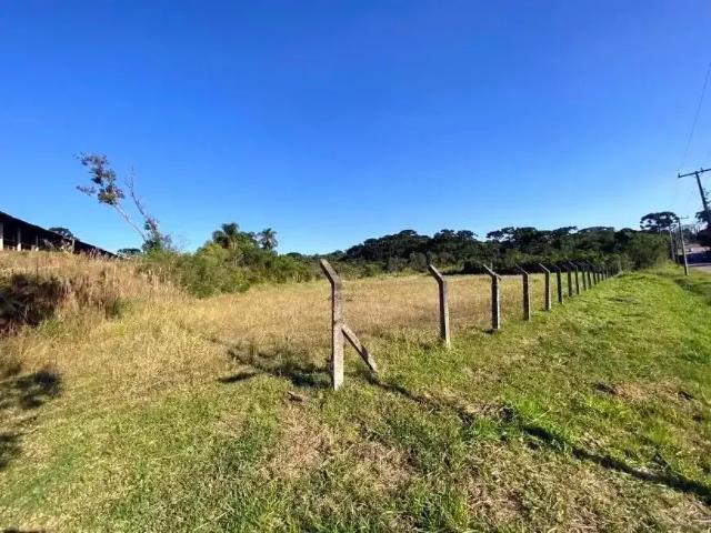 Terreno / Lote para Venda em Curitiba/PR Campo de Santana