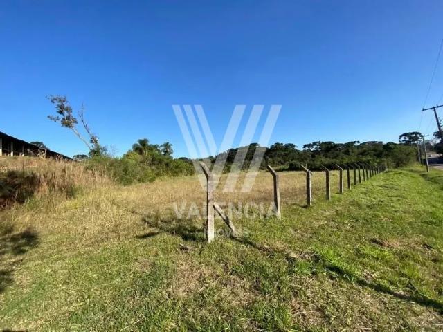 Terreno / Lote para Venda em Curitiba/PR Campo de Santana