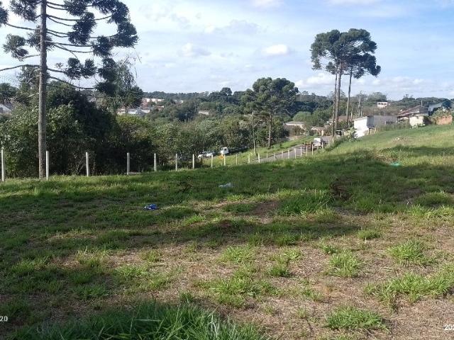 Terreno / Lote para Venda em Curitiba/PR Campo de Santana
