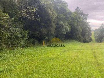Terreno / Lote para Venda em Curitiba/PR Campo de Santana