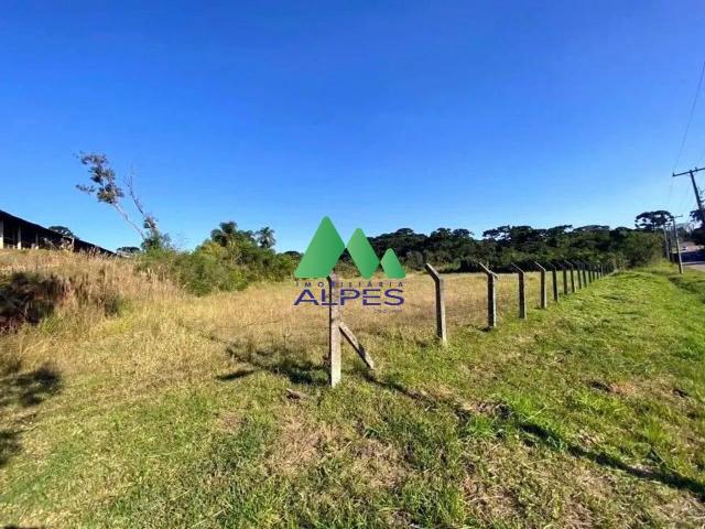 Terreno / Lote para Venda em Curitiba/PR Campo de Santana