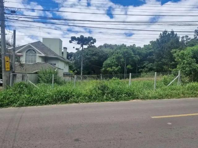 Terreno / Lote para Venda em Curitiba/PR Cascatinha