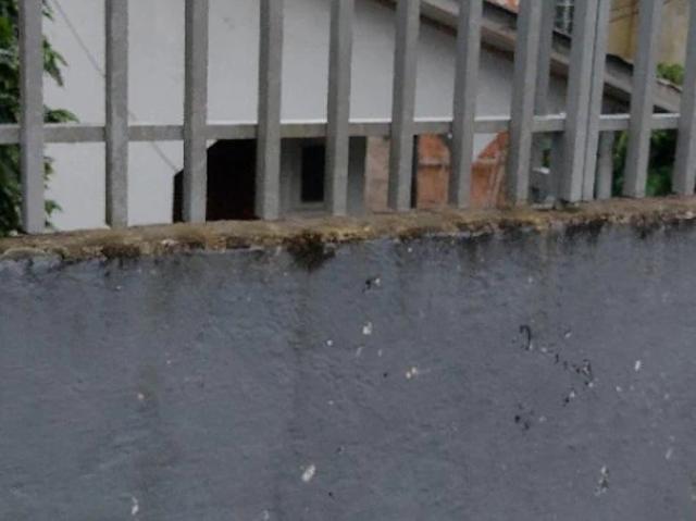 Terreno / Lote para Venda em Curitiba/PR Capão Raso