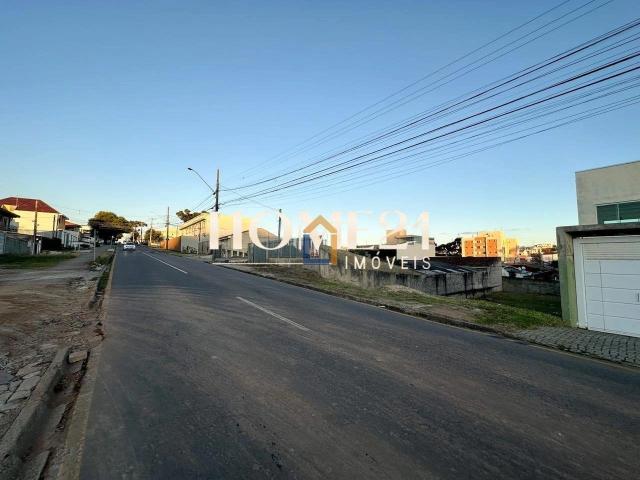Terreno / Lote para Venda em Curitiba/PR Capão Raso