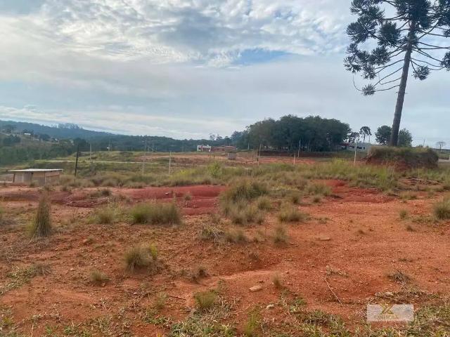 Terreno / Lote para Venda em Curitiba/PR Centro