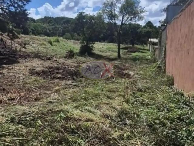 Terreno / Lote para Venda em Curitiba/PR Cidade Industrial