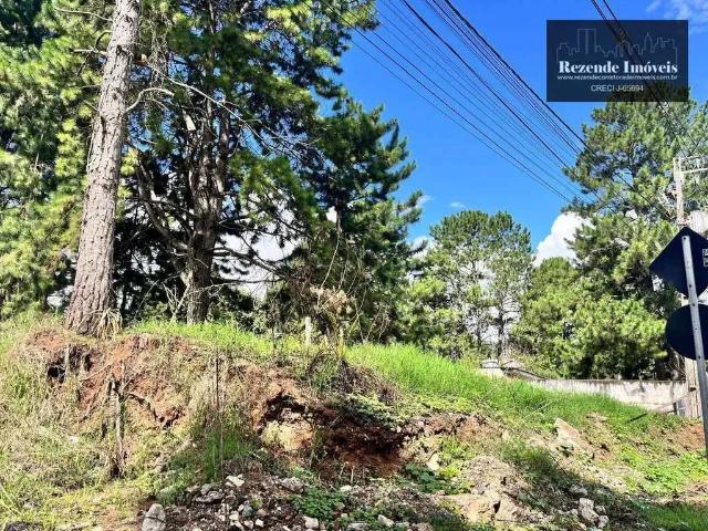 Terreno / Lote para Venda em Curitiba/PR Cidade Industrial