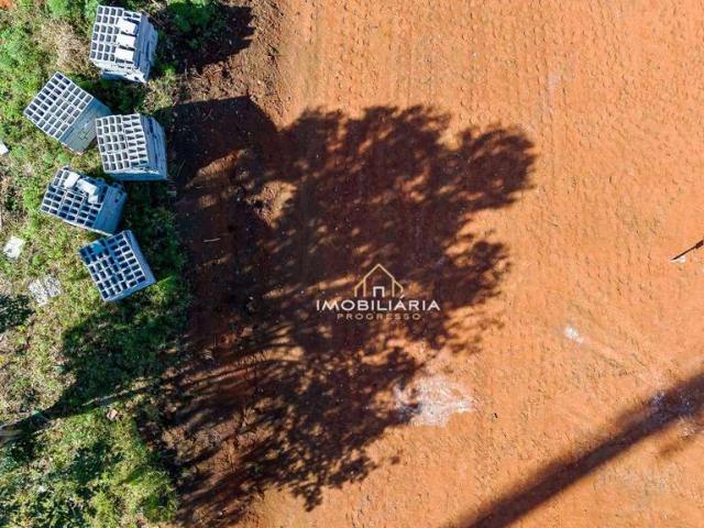 Terreno / Lote para Venda em Curitiba/PR Cidade Industrial
