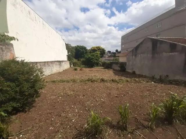 Terreno / Lote para Venda em Curitiba/PR Cidade Industrial
