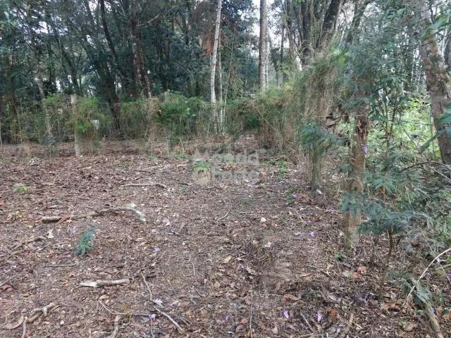 Terreno / Lote para Venda em Curitiba/PR Ecoville